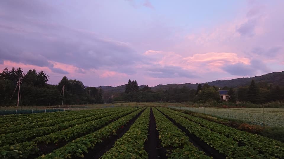 軽井沢