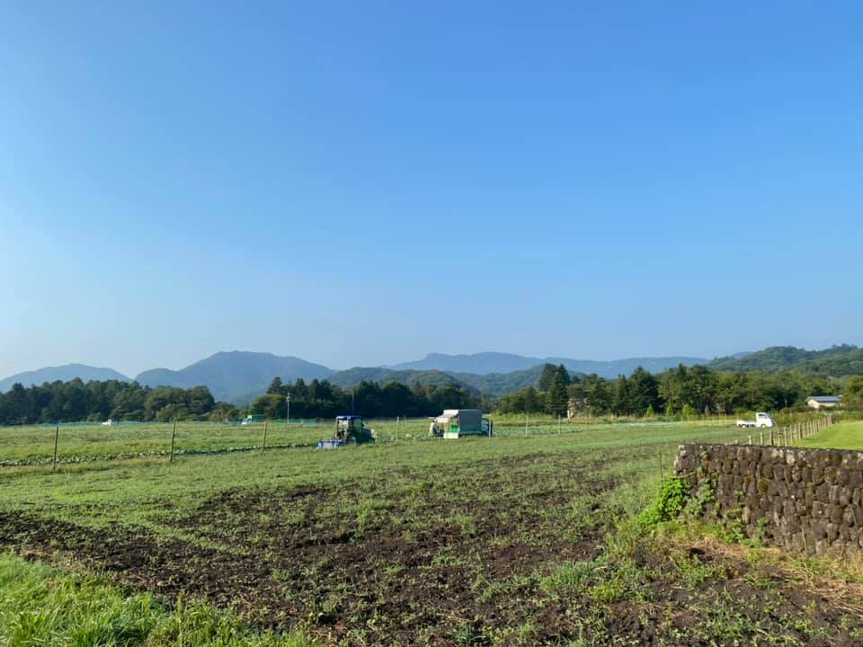 軽井沢の畑