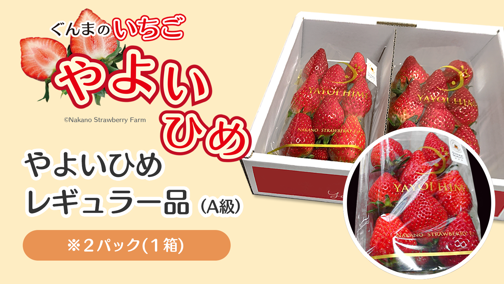 やよいひめレギュラー品2パックセット