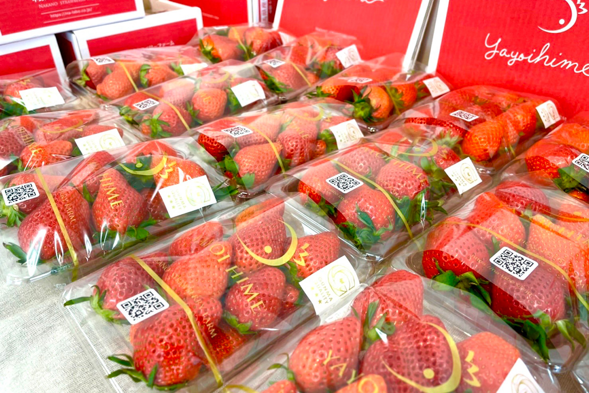 直売所ではご自宅用やギフト用などさまざまな種類をご用意しております