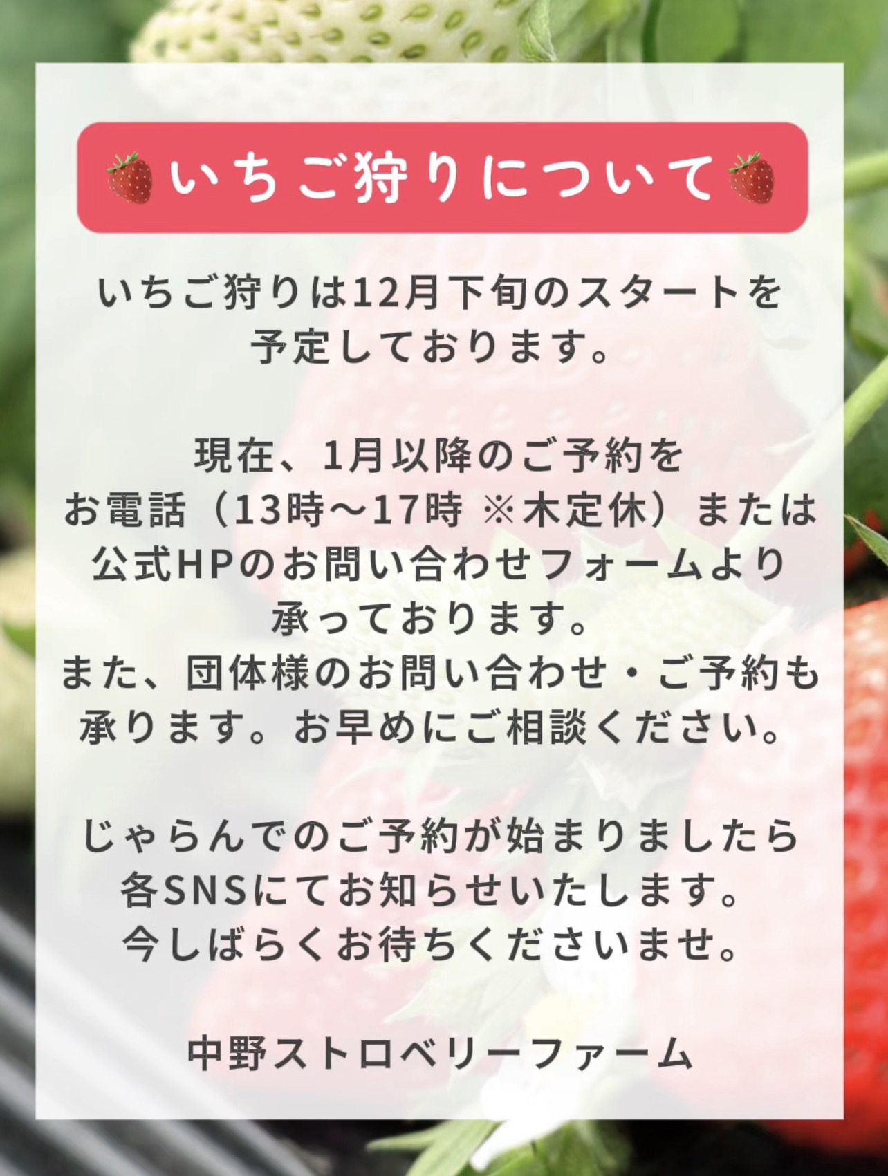 イチゴ狩りについて