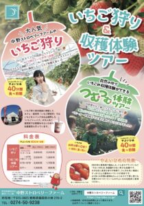 イチゴ狩りチラシ