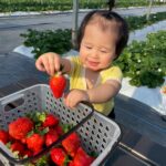 40分間の食べ放題と持ち帰りOK(量り売り)のつむつむ体験ツアー