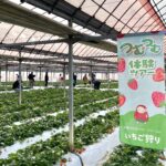 つむつむ体験ツアーハウス