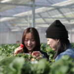 お友達やファミリー、恋人と40分間ゆっくりお楽しみください