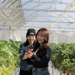 ビタミンCたっぷりのやよいひめは甘みと酸味のバランスが抜群♪