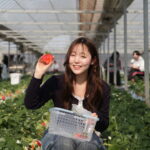 大粒でジューシーなやよいひめ