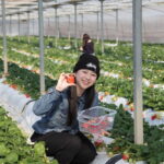 大粒でジューシーなやよいひめ