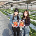 40分間の食べ放題と持ち帰りOK(量り売り)のつむつむ体験ツアー