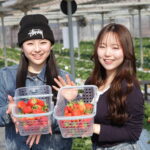 40分間の食べ放題と持ち帰りOK(量り売り)のつむつむ体験ツアー