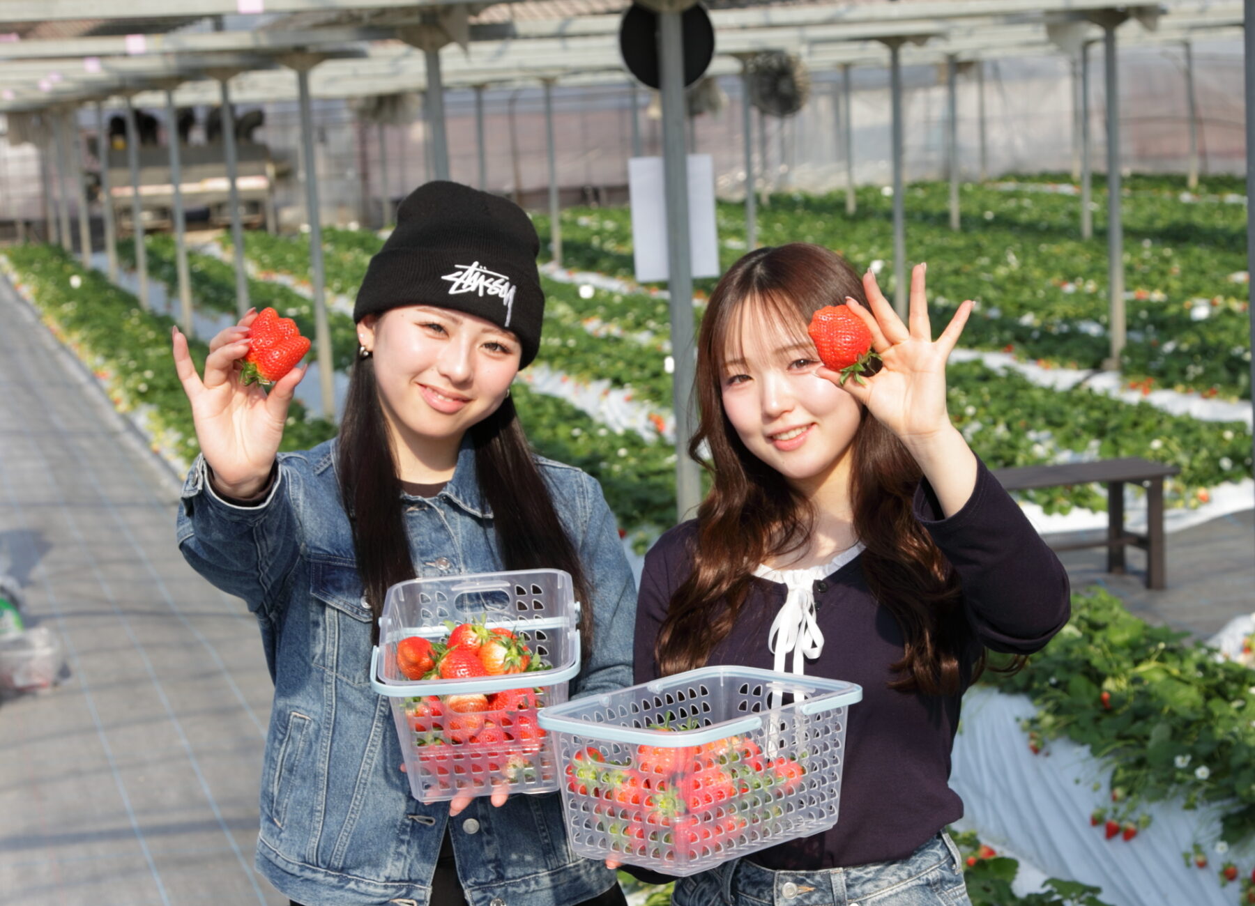40分間の食べ放題と量り売りでお持ち帰りもできる「つむつむ体験ツアー」 40分間の食べ放題と量り売りでお持ち帰りもできる「つむつむ体験ツアー」