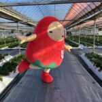 やよいちゃんでもゆったり通れる通路のひろ~いハウス